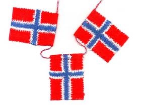 Norsk flag MFj11